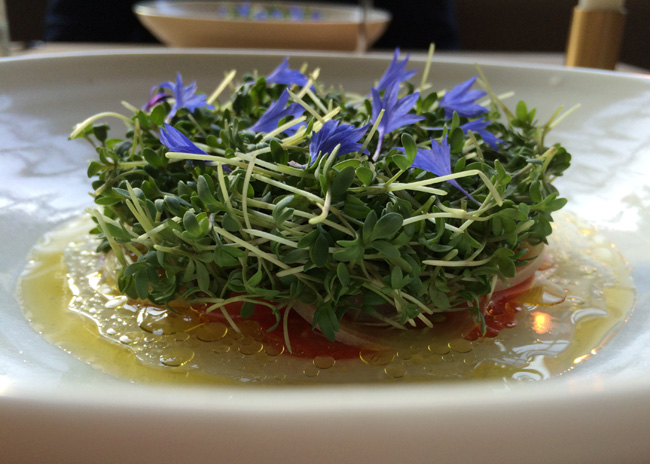 Scallop ceviche at Restaurant Spontan